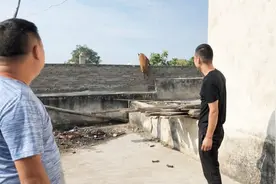 带大家欣赏下正宗比利时马犬和它生的这八只小狗崽，欢迎品评一下视频封面