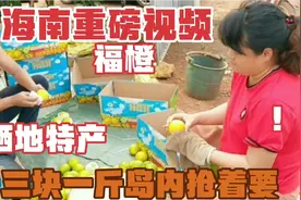 来自海南的抢手特产，海南澄迈福山富硒地(福橙)，岛内不够吃视频封面