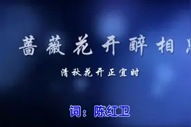 蔷薇花开醉相思，清秋花开正宜时视频封面