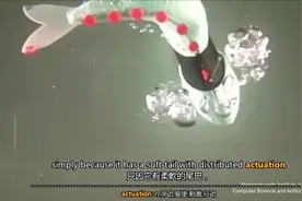 GiadaGerboni_2018[灵活的柔性机器人潜力无限]视频封面