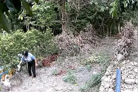 嫌鹅叫太吵睡不着，母子用开水浇熟邻居家鹅蛋，还觉着理所应当！视频封面