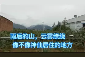 雨后的秦岭山云雾缭绕的，陕西农村媳妇带宝宝出去逛，半路跑回去视频封面