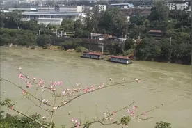 （四川攀枝花）原名云南的渡口市，地处金沙江，以花命名的城市。视频封面