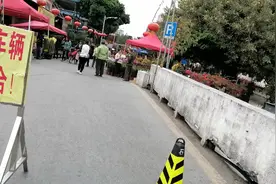广州农村花🌸市一角视频封面