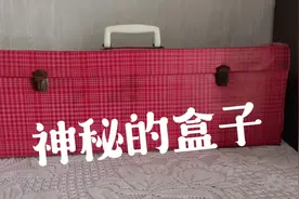收到一个神秘的盒子，大家猜一下里面是什么。视频封面