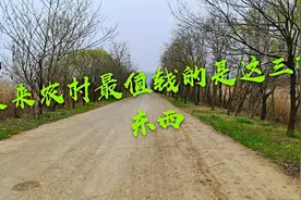 马云透露：未来最珍贵的不是房子，而是这3样都在农村的东西视频封面