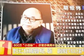 洞庭湖下塞湖非法矮围被彻查,水利局“一把手”违纪问题遭曝光！视频封面