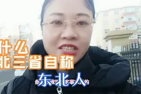 为什么东北三省的人都自称是东北人？而不单独提省份？原来如此！视频封面