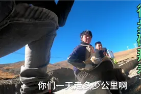 西藏有很多藏民徒步磕拜，他们是为了什么，今天采访时说出实情