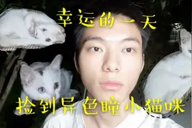幸运的一天！捡到异色瞳猫咪，可爱到爆炸！以后要好好相处哦！视频封面