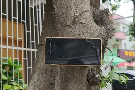 一条铁丝制作手机稳定器，比几十块钱的，八爪鱼三脚架好用视频封面