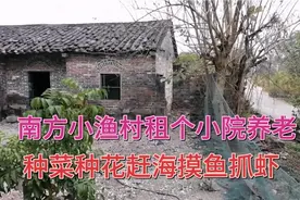 两个特色小院，猫冬养老度假，赶海钓鱼喝酒，养花种菜享田园生活视频封面
