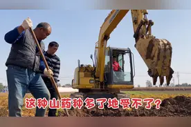 河南铁棍山药种多了地受不了？一块地需10年一轮回，究竟为什么？视频封面