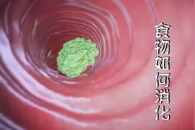 食物进入人的肠胃是怎么消化的呢？你知道吗？视频封面