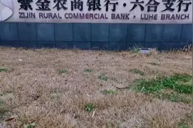 春节前探访银行网点视频封面