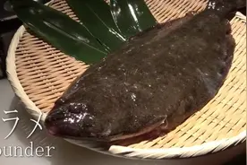 看日本大厨处理褐牙鲆，如庖丁解牛一般～视频封面