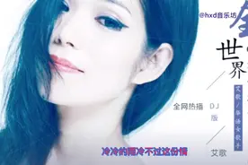 全网热播DJ歌曲《全世界都知道你变了心》/艾歌视频封面