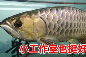 拍婚纱照没必要花五六千，去工作室2000搞定，省钱还照的好视频封面