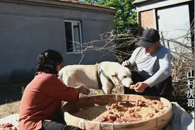 萌宠为啥三番五次阻止主人？是它发现什么了吗？好有爱心的狗狗视频封面
