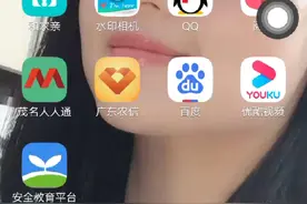 刷q币的软件是假的。