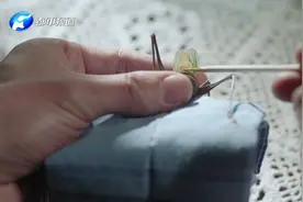 全身乏力的蛐蛐这么一整，马上啾啾地发出鸣叫，原来是用了这个药视频封面