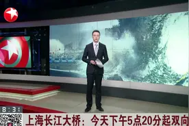 上海长江大桥：今天下午5点20分起双向禁行视频封面