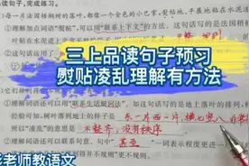 三上预习品读句子，熨贴凌乱你理解吗？理解词语有方法哦