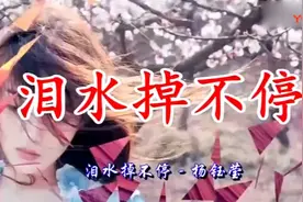 杨钰莹《泪水掉不停》，蛮好听的一首歌。视频封面