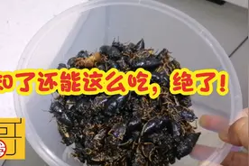 大家好我是荣哥，今天教大家知了新做法，酥脆不腻，赶紧试试吧