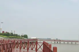 山东菏泽浮龙湖，湖水里的鱼应该不错，不知道让不让钓鱼