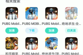 很多人想用亚服跟我开黑，却不知道怎么下载。没关系我教你。视频封面