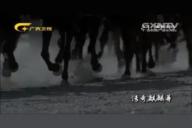 秦始皇平定百越打通长江-珠江水路，开创了桂湘粤交通交易新纪元视频封面