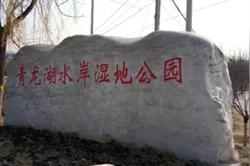 波姐介绍北京一个春游挖野菜的好地方，青龙湖湿地公园。视频封面