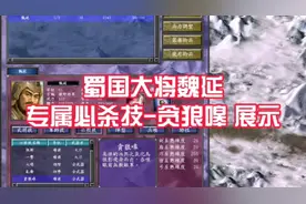三国群英传7 蜀国大将魏延 专属必杀技 贪狼嗥 技能展示视频封面