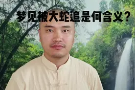 梦见被大蛇追是何警示？视频封面