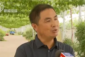 好消息！上海金山廊下生态园免费开放，20余个项目串联成线！视频封面