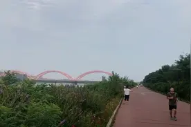 自己出来散步，属于几级孤独呢视频封面