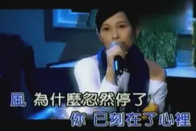 奶茶女神姐刘若英《似水年华》，温柔的嗓音伴随似水般的年华流走视频封面