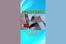 浙江男子家住5楼,想去上班一开门惊呆了#楼梯被拆#热点视频封面