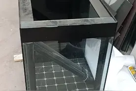 侧滤鱼缸背滤鱼缸的一些优缺点讲解视频封面