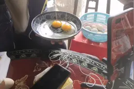 什么是真正的土鸡蛋?看看网购鸡蛋品质如何视频封面