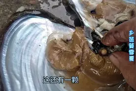 雪夏剖河蚌和邻居做农家美食，女性吃了好处多，难怪那么多人喜欢视频封面