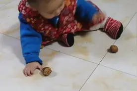 日常砸核桃 还可以练手腕