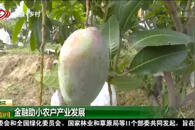 四川农信精准投放特色金融菜品，满足不同农业产业发展需求视频封面