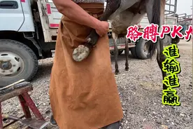 倔驴大腿和师傅胳膊互相搏斗，谁输谁赢请看视频，手抓驴腿视频封面