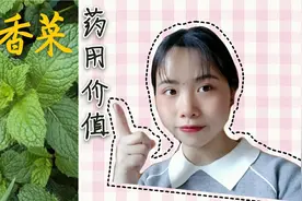 土药|贵州称之为鱼香菜，价值珍贵，药用价值高，有很好治疗效果视频封面
