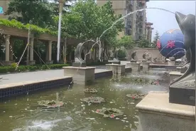 龙口西城最牛海景小区，环境很好，价格美丽，很多外地人在此买房视频封面