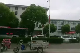 南方城市绿化到底怎样？北方人看了无限感慨，真涨知识！视频封面