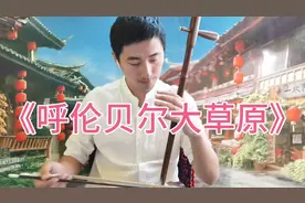《呼伦贝尔大草原》，辽阔的大草原，二胡演绎，琴声悠扬！视频封面