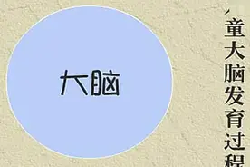儿童大脑发育过程视频封面